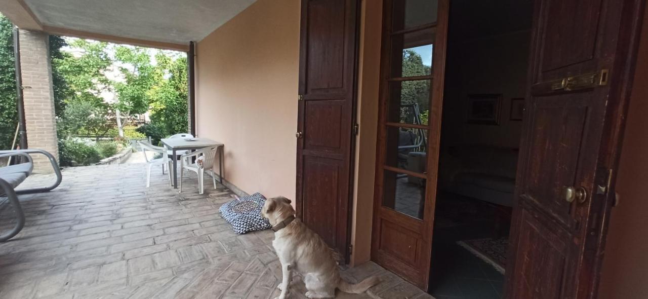 Вілла Casa Vincenzo 130 Mq Con Portico Ed Ingresso Esclusivo Dal Giardino Felino Екстер'єр фото