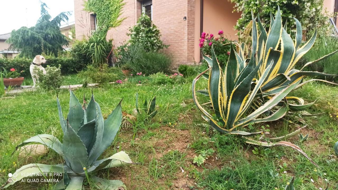 Вілла Casa Vincenzo 130 Mq Con Portico Ed Ingresso Esclusivo Dal Giardino Felino Екстер'єр фото