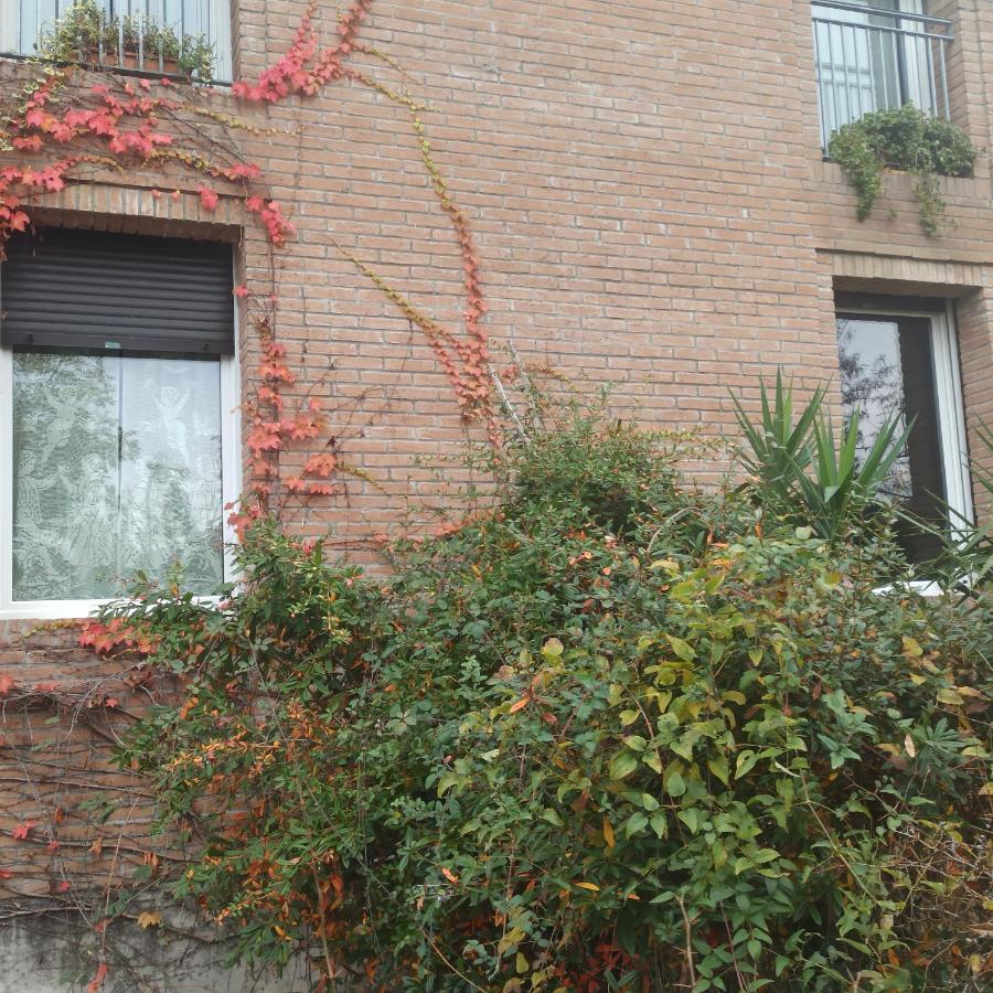 Вілла Casa Vincenzo 130 Mq Con Portico Ed Ingresso Esclusivo Dal Giardino Felino Екстер'єр фото