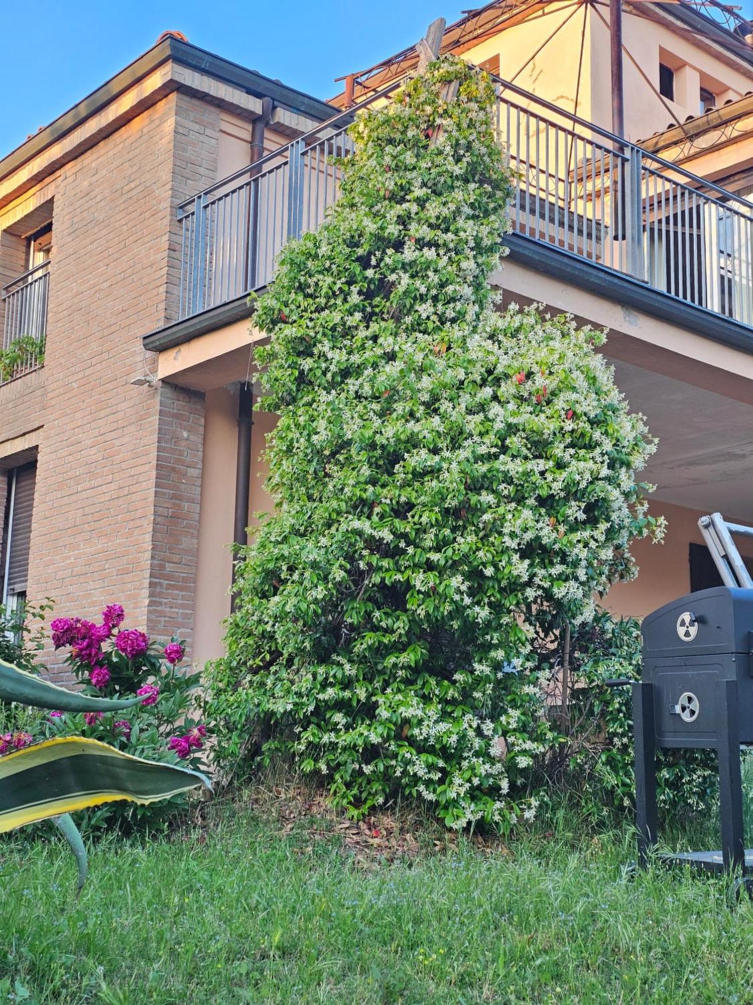 Вілла Casa Vincenzo 130 Mq Con Portico Ed Ingresso Esclusivo Dal Giardino Felino Екстер'єр фото