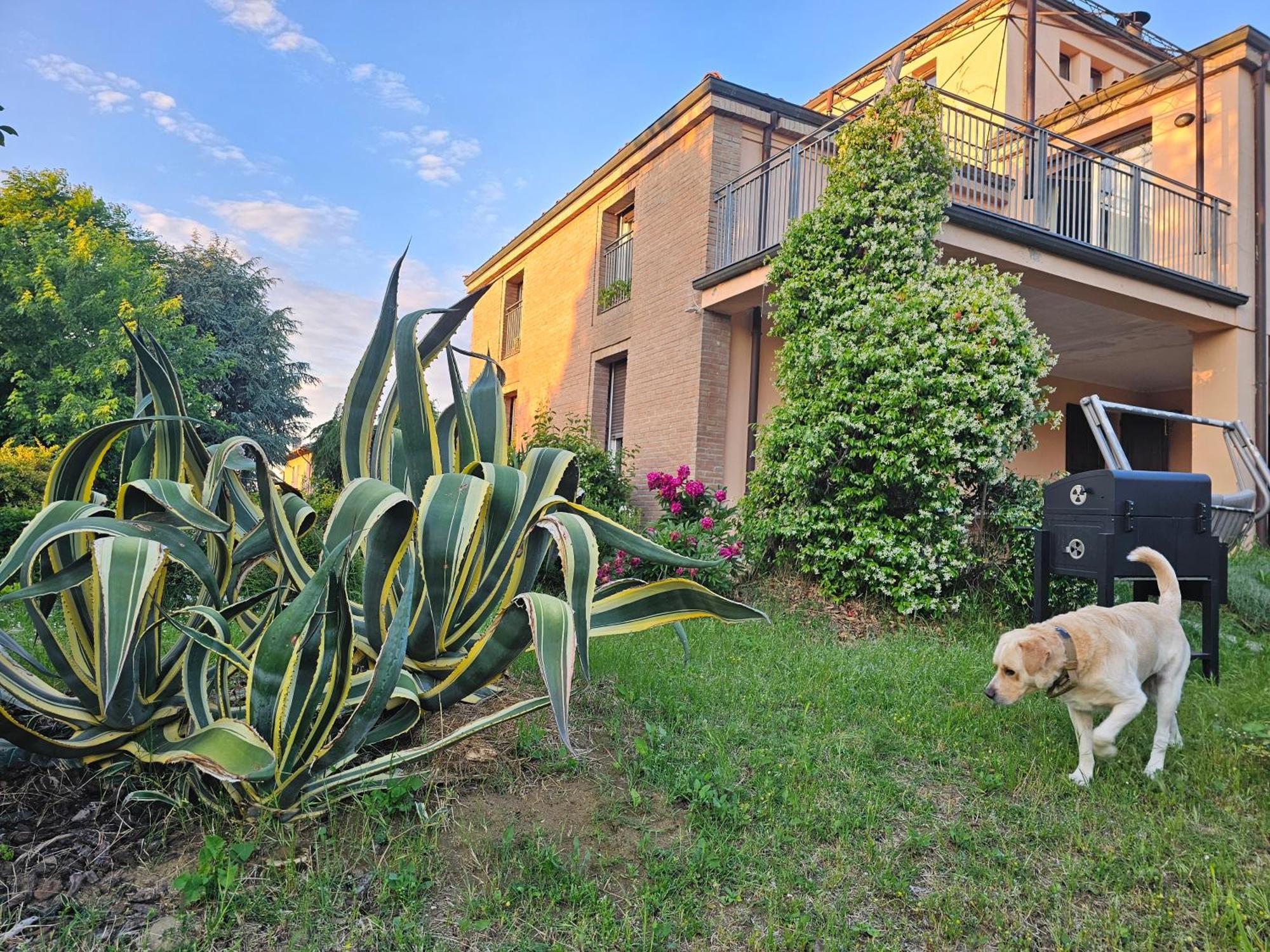 Вілла Casa Vincenzo 130 Mq Con Portico Ed Ingresso Esclusivo Dal Giardino Felino Екстер'єр фото