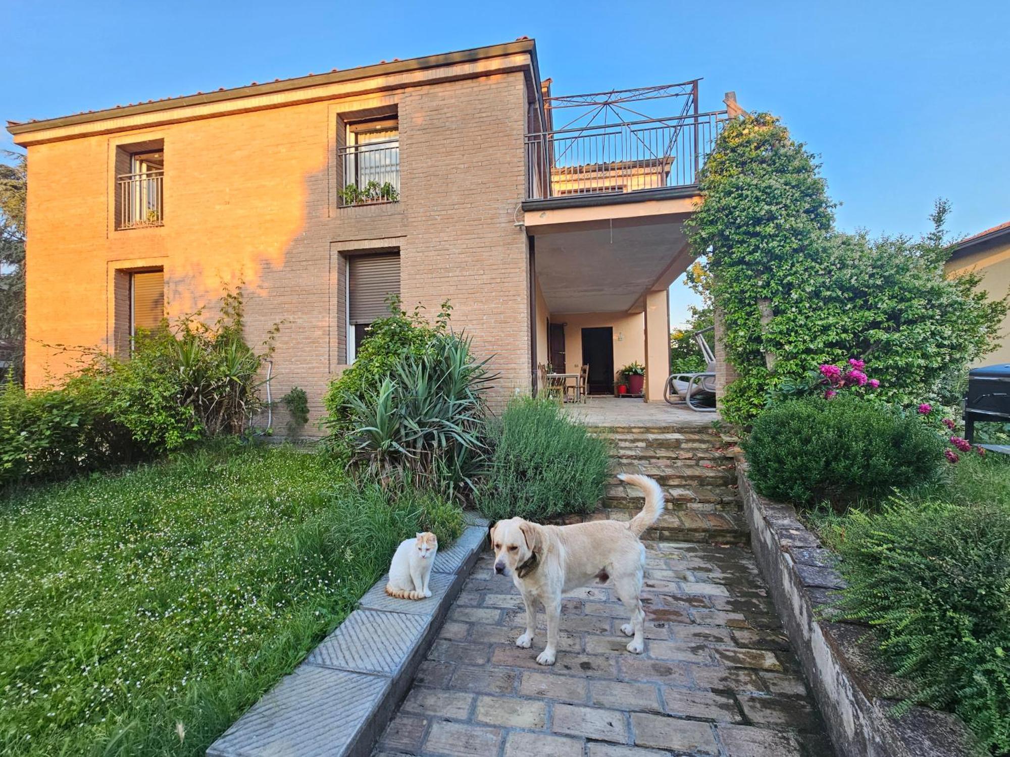 Вілла Casa Vincenzo 130 Mq Con Portico Ed Ingresso Esclusivo Dal Giardino Felino Екстер'єр фото