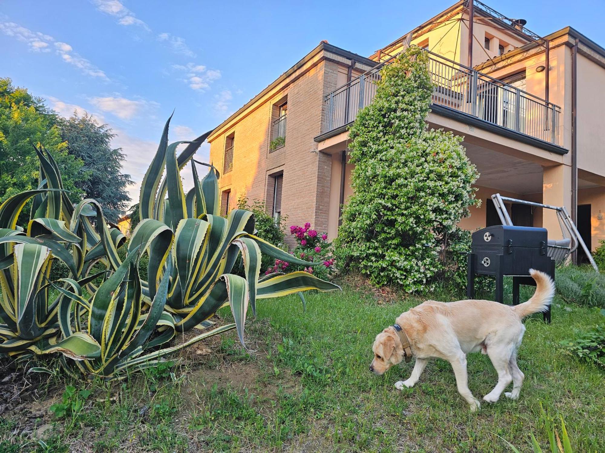 Вілла Casa Vincenzo 130 Mq Con Portico Ed Ingresso Esclusivo Dal Giardino Felino Екстер'єр фото